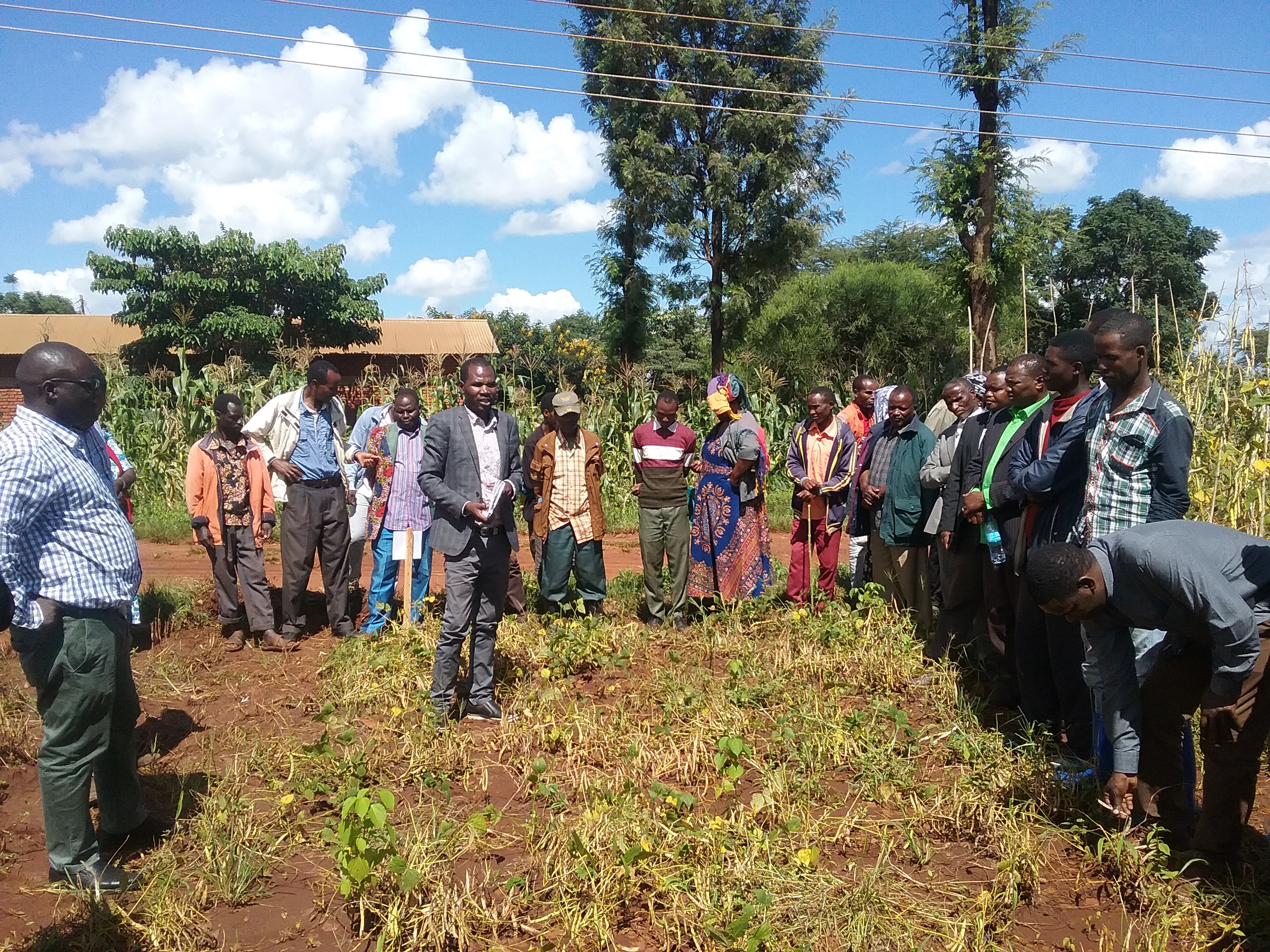 Mr. Nestory Shida, the head of Bean Program at TARI-Selian, giving detailed information on bean varieties developed by TARI-Selian center during the Farmers Field Day at Hydom,Mbulu District on 01/04/2021