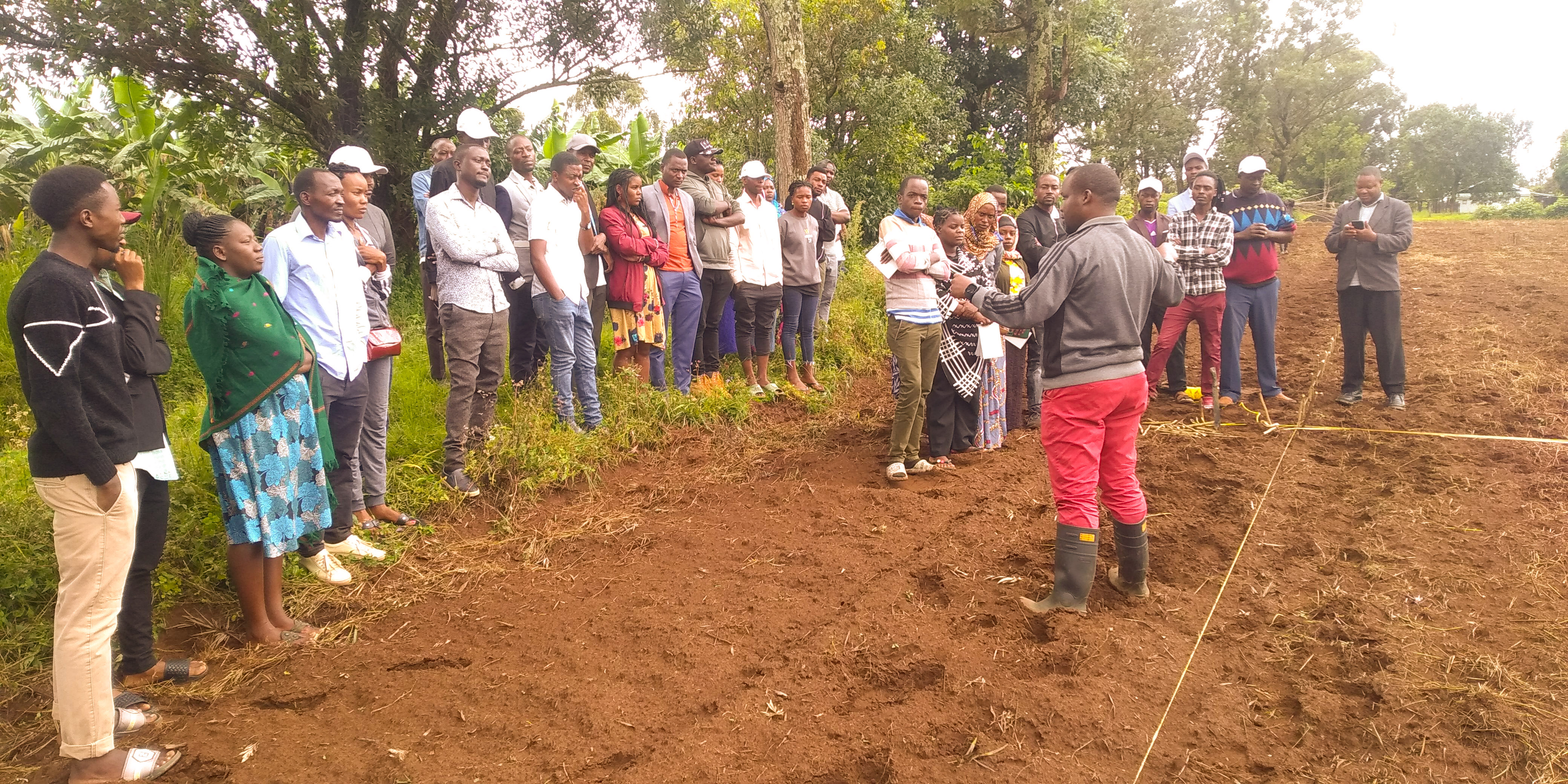 Building better tomorrow (BBT)  youth continue with their practiccal trainning on the best principle of beans cultivation when they visited TARI MARUKU centre 