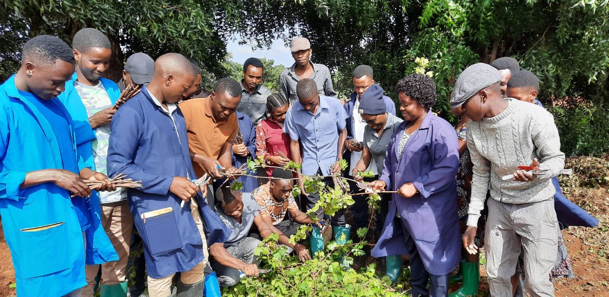 Field practical students from SUA received training on grape cuttings preparation from Field Officer Mary Stephen