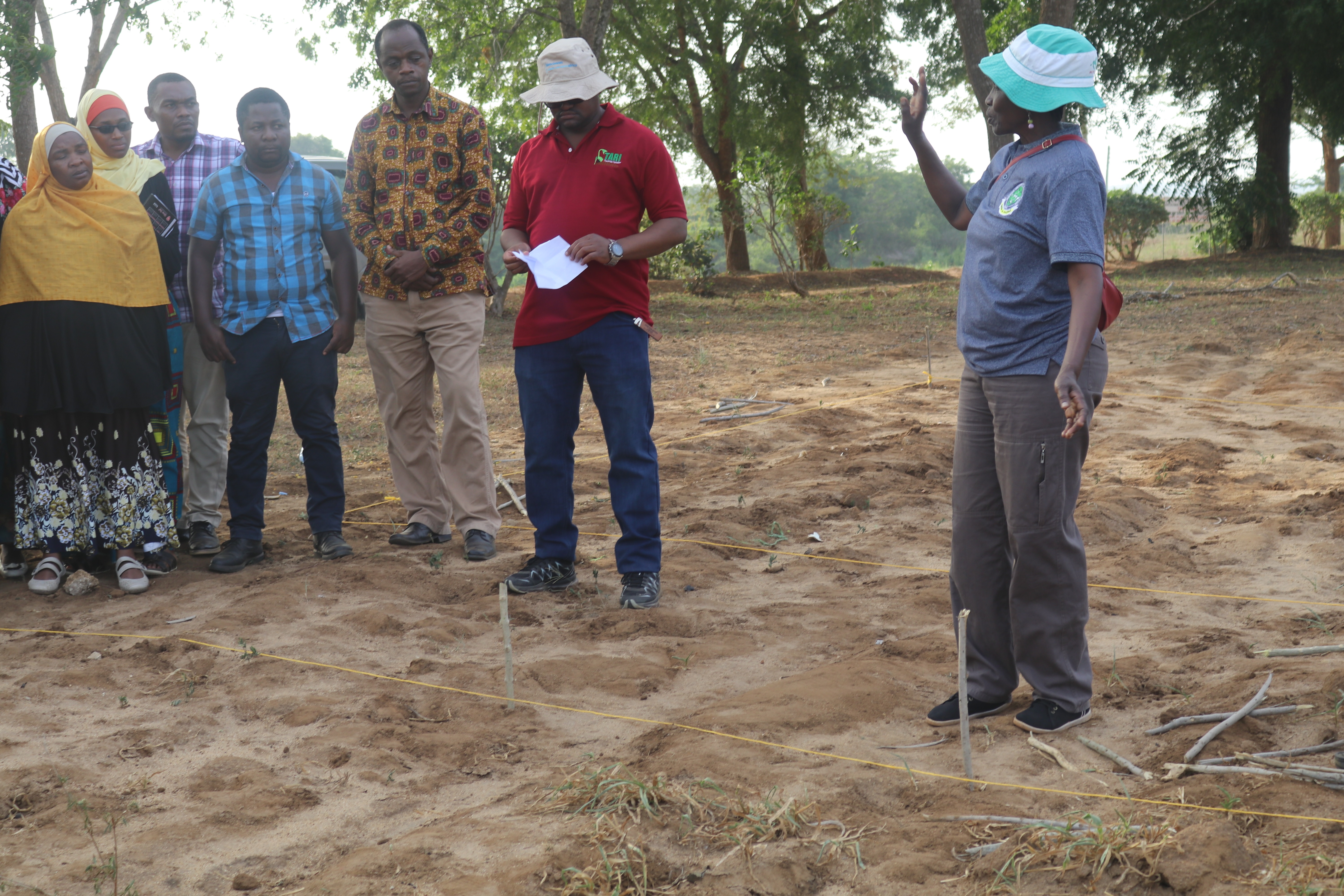 Professor Kalunde Sibuga from Sokoine University of Agriculture  In a Field Work With the Scientists  of TARI Kibaha