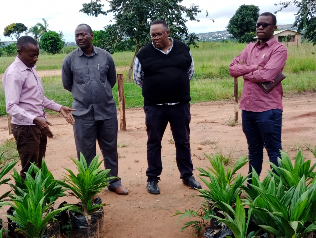 TARI Kihinga Research and Innovation Coordinator Mr. Kuzenza Madili (Left) briefs visiters from Suba Agro Co.Ltd who have arrived at the center to receive information on Oil Palm production trends