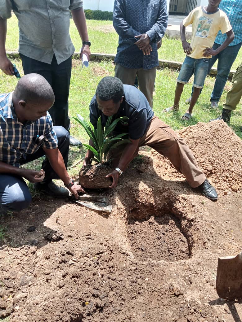 Palm oil Seedlings demos at Mbalali 