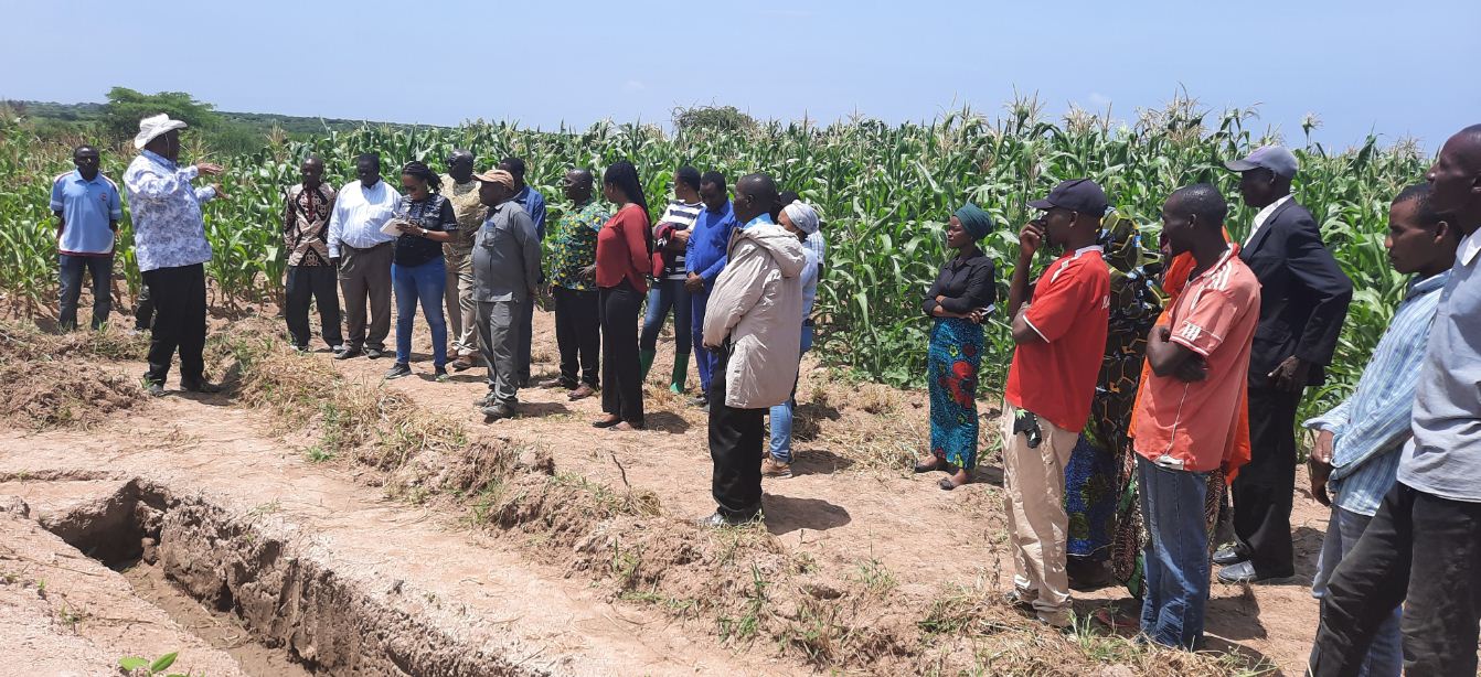 TARI Makutupora Centre,  IITA, and LEAD Foundation Conduct Farmer Field Day at Gurungu and Mirambo Villages