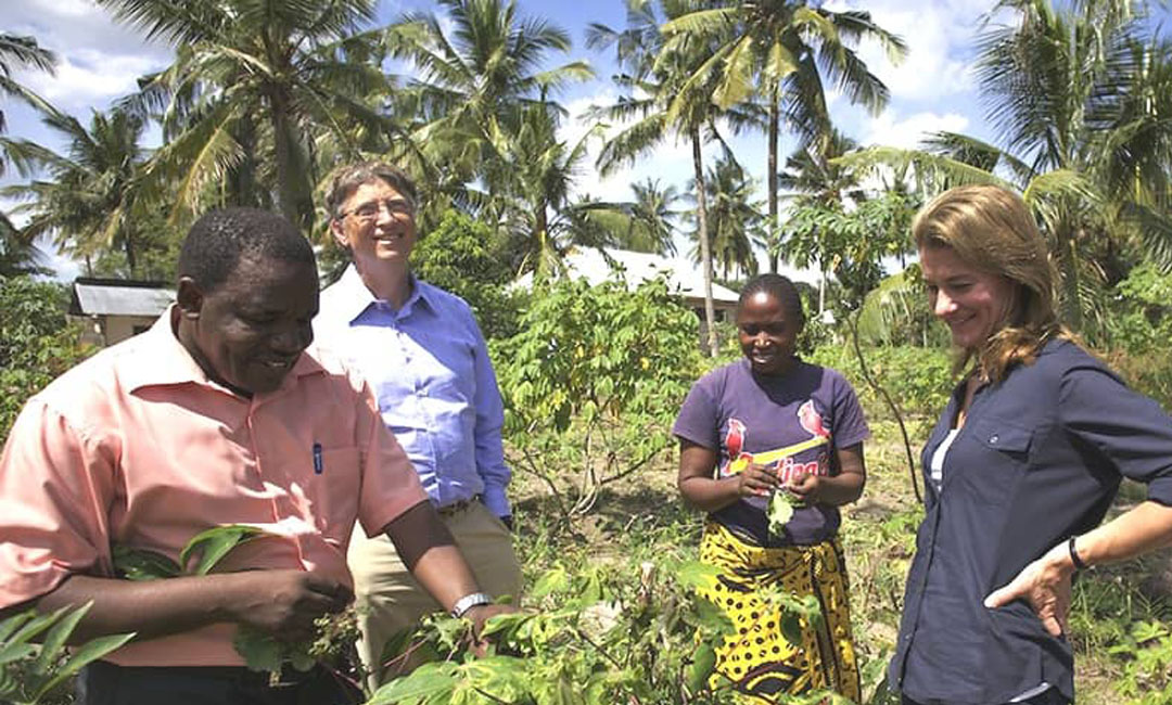 Bill Gate and His wife Melinda in cassava field in Bagamoyo Tanzania when visited TARI Mikocheni