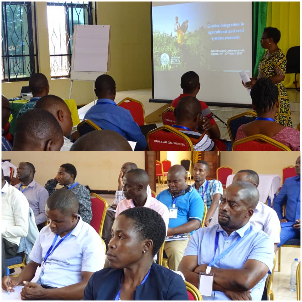 A total of 60 agricultural officers from 11 region of Kigoma,Tabora and Katavi have received training cultivation of cassava from 14 hadi 17 March 2022 in kasulu town council hall . 