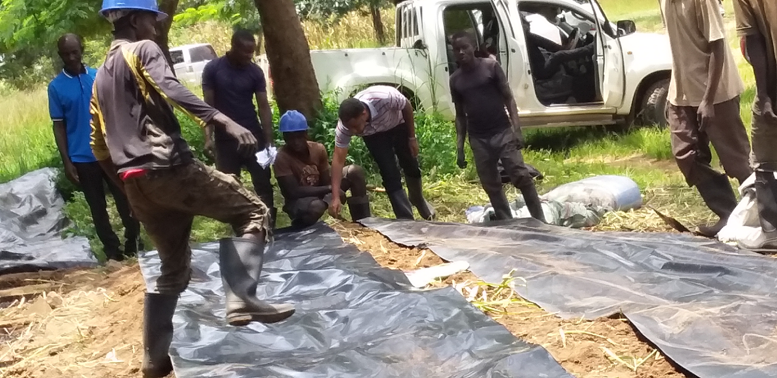 OIL PALM SEEDS GERMINATION AT KIGOMA DISTRICT COUNCIL