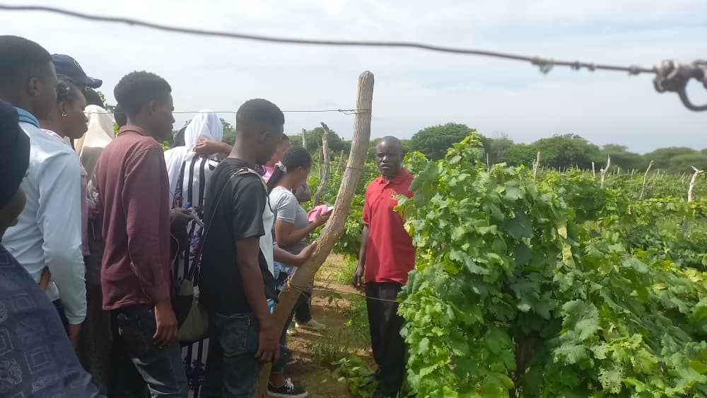 Students from University of Dodoma(UDOM) visited TARI Makutupora Centre