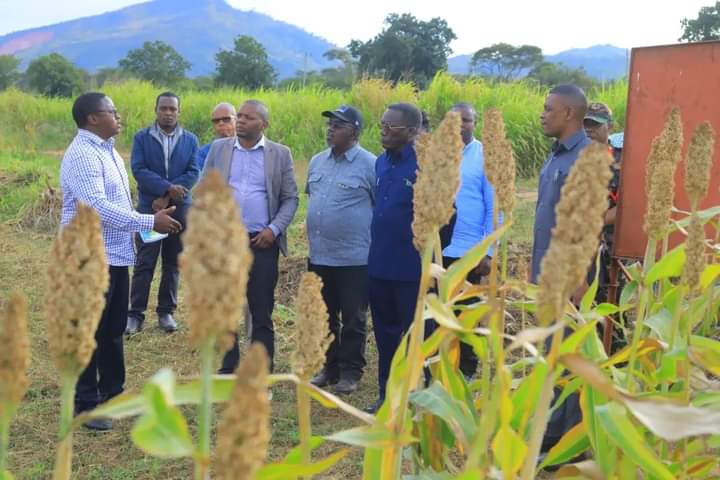 Plant breeder Mr. Emmanuel Mwenda giving briefing to Hon. Mizengo Pinda former Prime Minster of the United Republic of Tanzania on available on station sorghum trials 