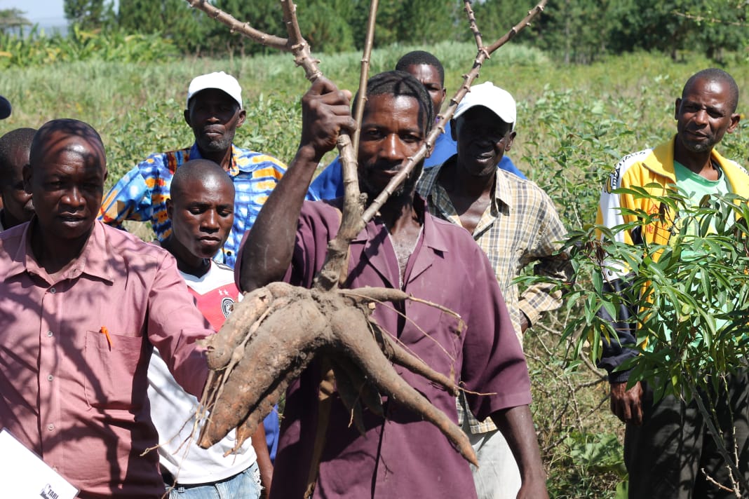 Tanzania Agricultural Research Institute (TARI) via Ukiriguru Center recently conducted a Farmers Field Day which was well coordinated by Technology transfer and partnership (TT&P) department held at Buganda village, Bulemeji ward in Misungwi district.