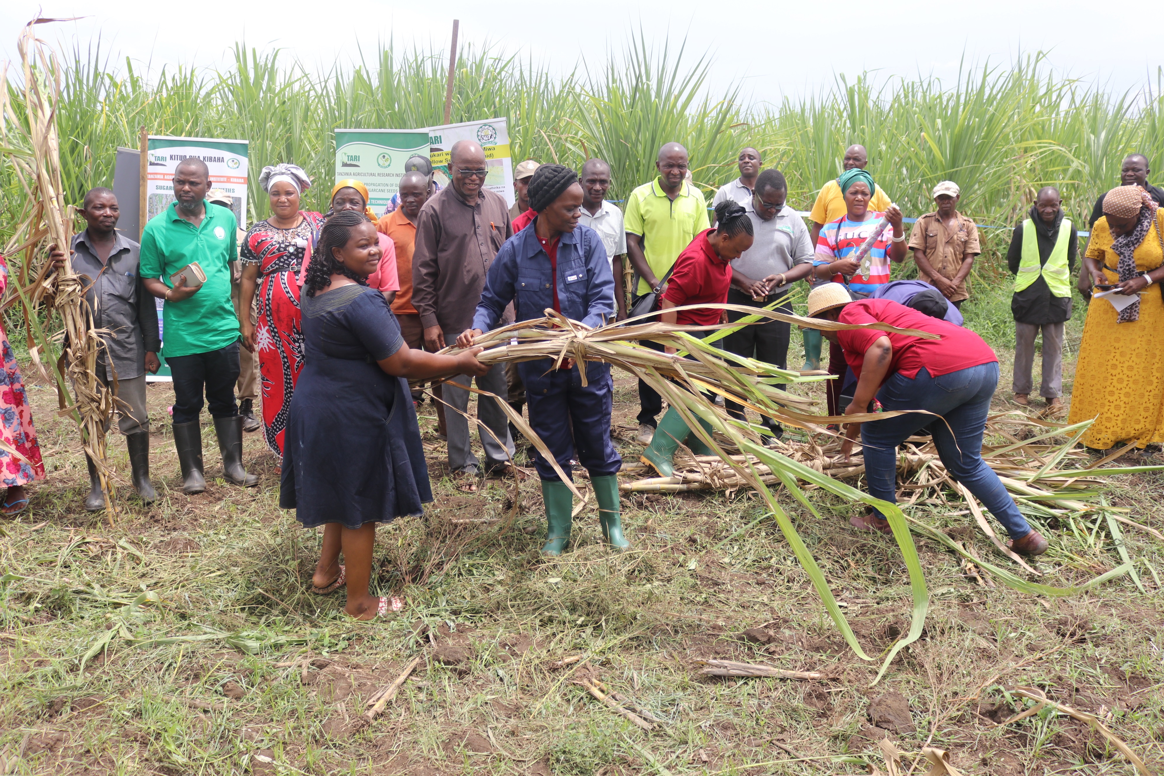 PEOPLE AND EVENTS IN MSOLWA UJAMAA