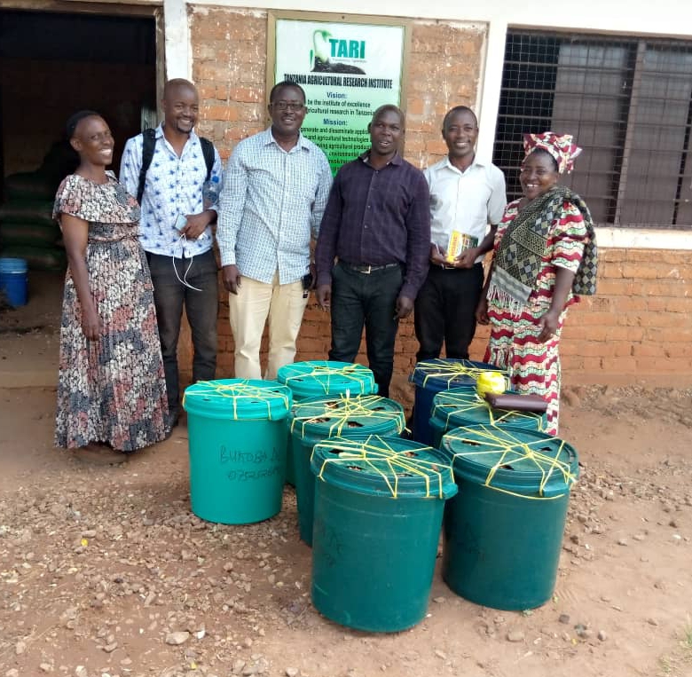 TARI Kihinga has handing over 5000 Oil Palm Pre-germinated seeds to  the representative of the Director of Kalambo District Council in Rukwa Region and 10000 Oil Palm pre-germinated seeds to representative of Director of Bukoba District Council.