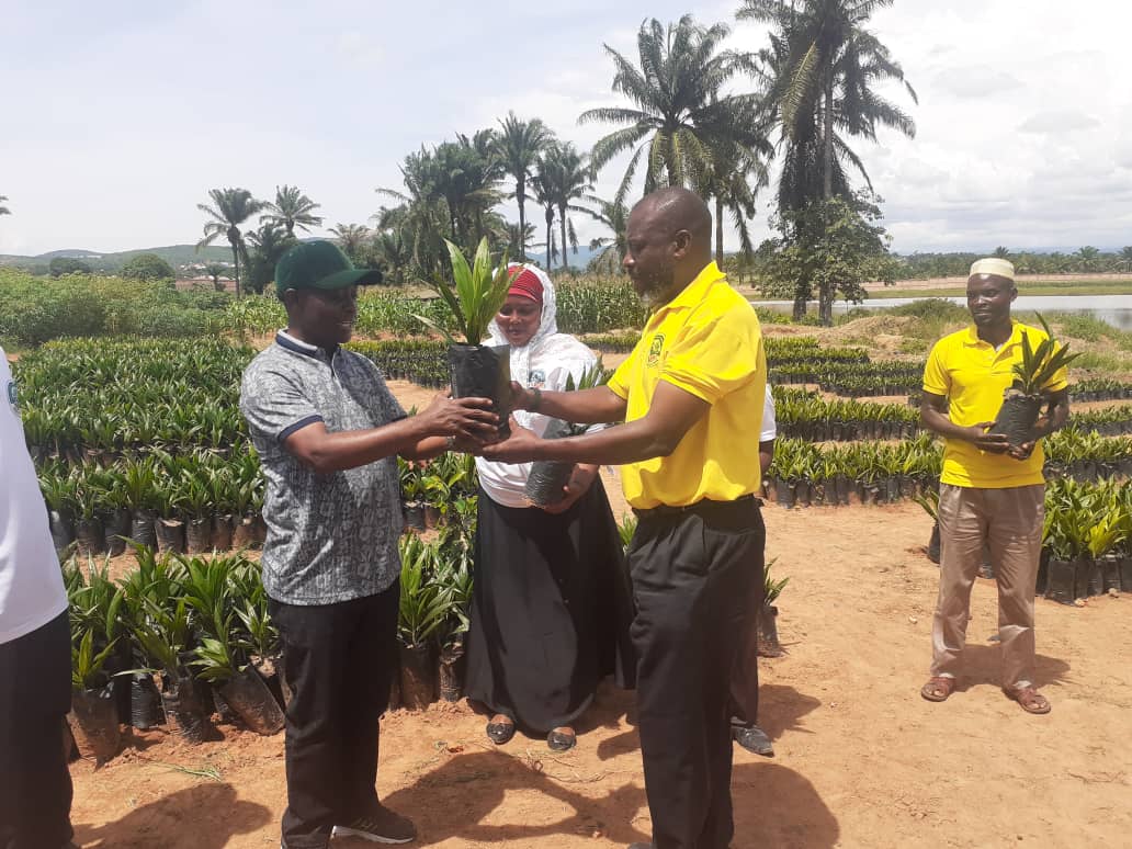 TARI Kihinga has participated in the distribution of  Oil palm seedlings to the WAMI AMCOS group in Kigoma Municipal Council. The official guest of honor was the Member of Parliament for Kigoma, Hon. Kilumbe Ngenda. 