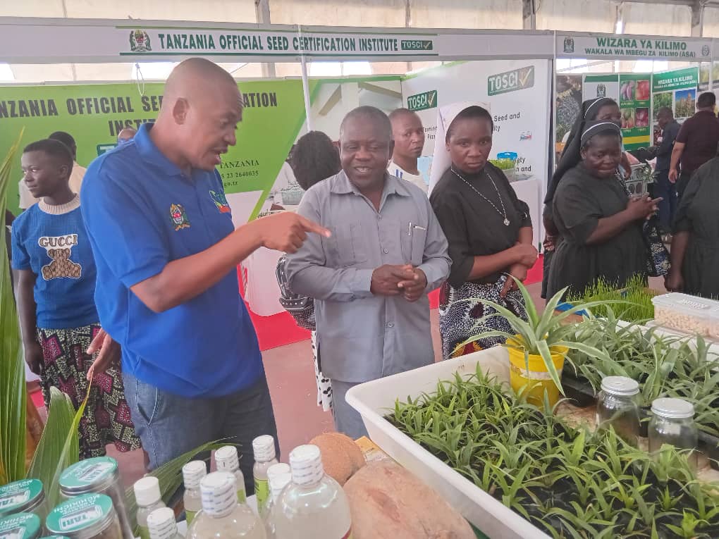 Mr. Emmanuel Mrema (Left), Coordinator for Research and Innovation (CRI) from TARI Mikocheni explaining to farmers on pineapple seedlings produced by using Tissue Culture Technology during DITF, 2025