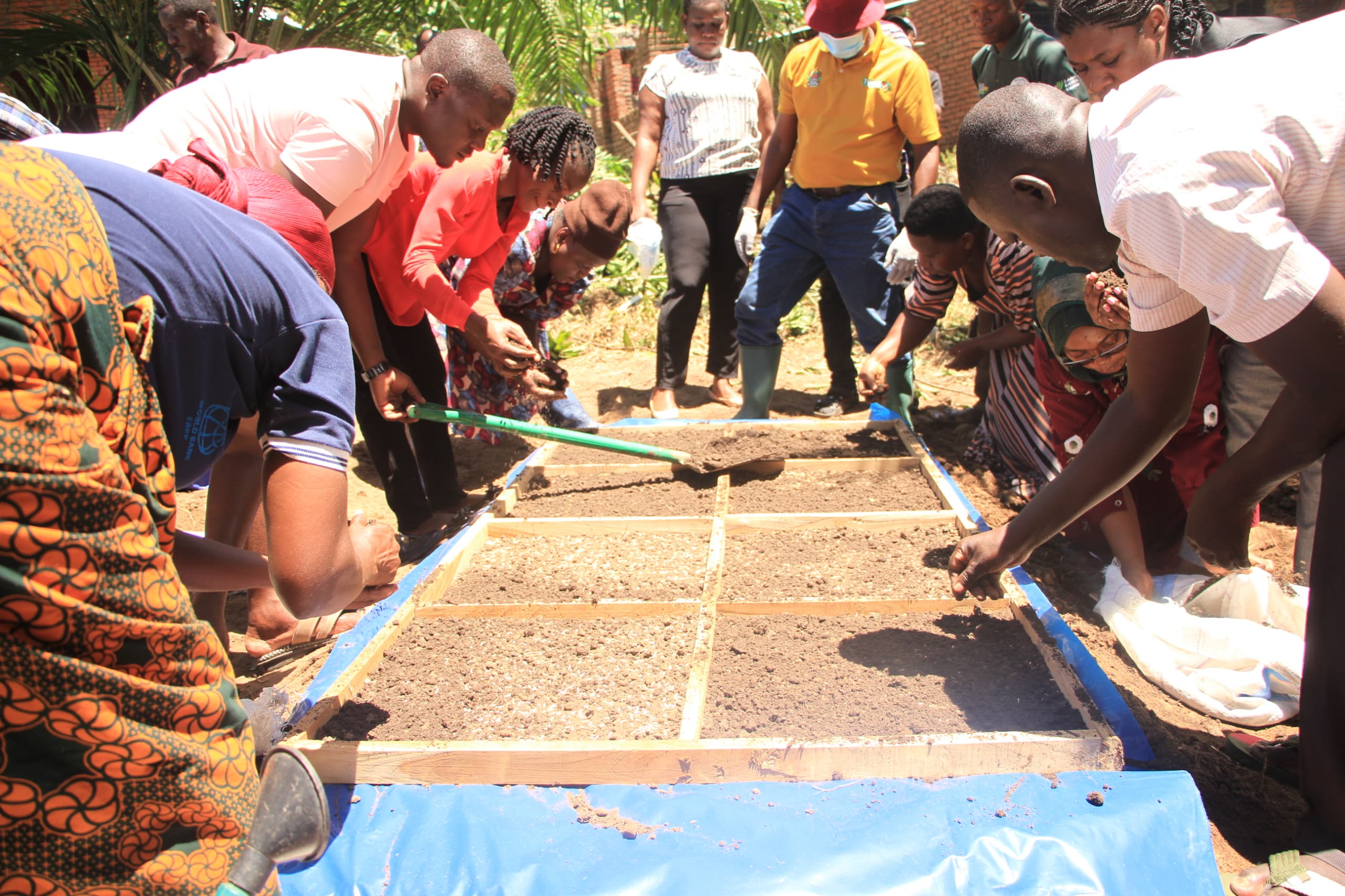 TARI, FAO TRAIN RICE FARMERS