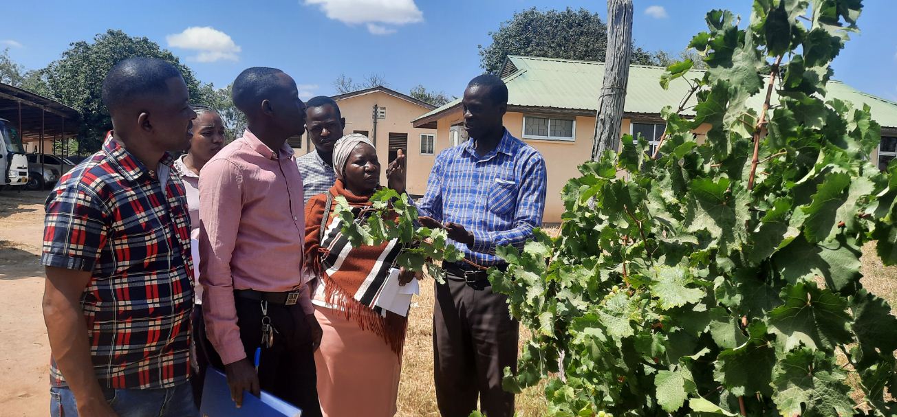 Tanzania Assemblies of God(TAG) Employees from Dodoma visiting TARI Makutupora Centre