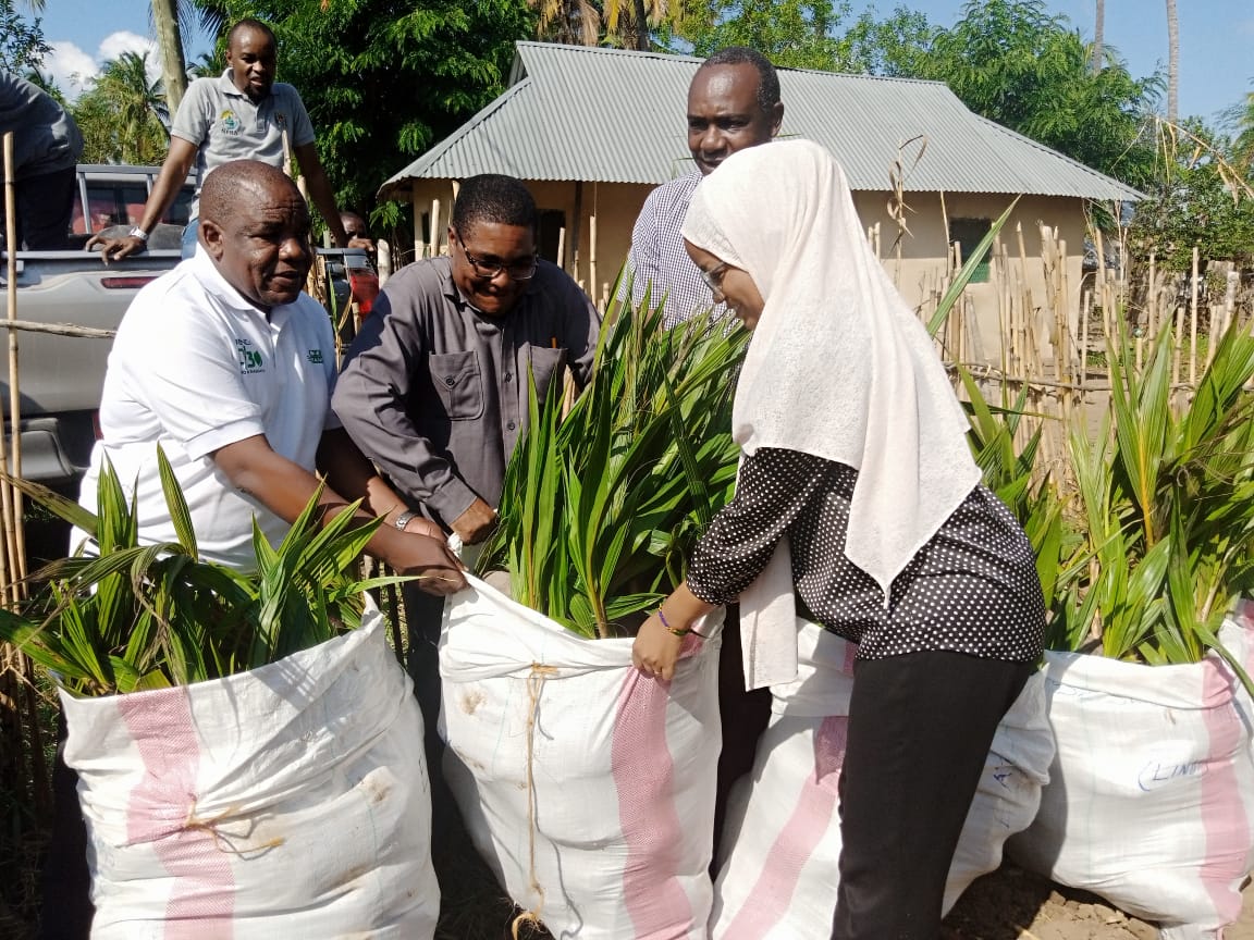 Tanzania Agricultural Research Institute (TARI) through its Agricultural Research Center – Mikocheni (TARI Mikocheni) in campaign to revamp coconut farming in Tanzania. This is after distributing a total of 650 coconut seedlings to farmers.