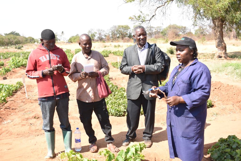 Farmers’ representative from BALALU AMCOS from Bahi District in Dodoma Region visited TARI – Makutupora Centre. 