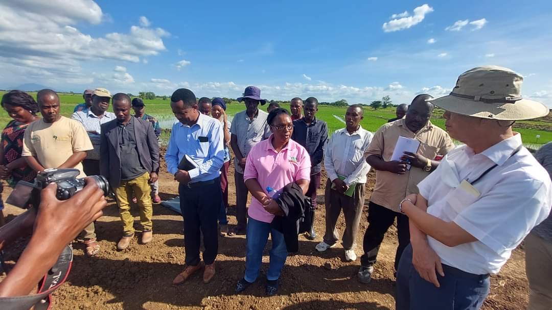 KAFACI Projects Coordinator in Africa commends Rice Research done by TARI Dakawa