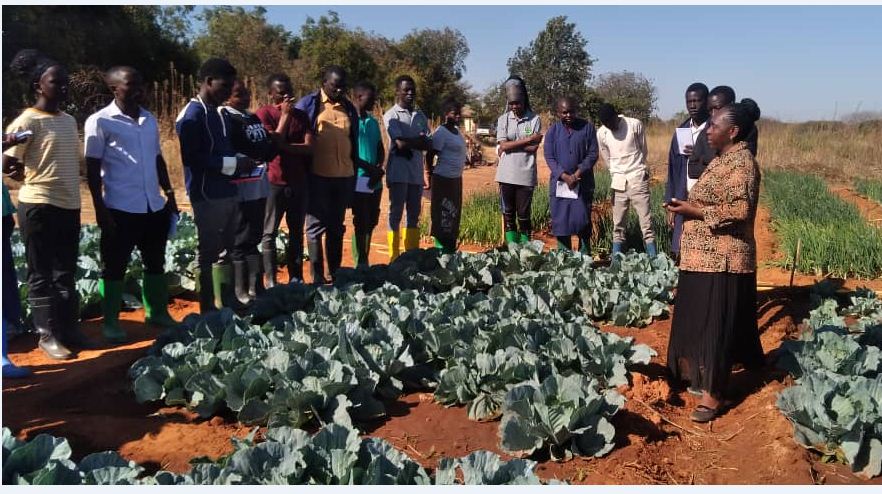 Ms Dainess Sanga from TARI Makutupora with black skirt training field students from Sokoine University of Agriculture and MATI Ukiliguru on vegetable fertilizer trial
