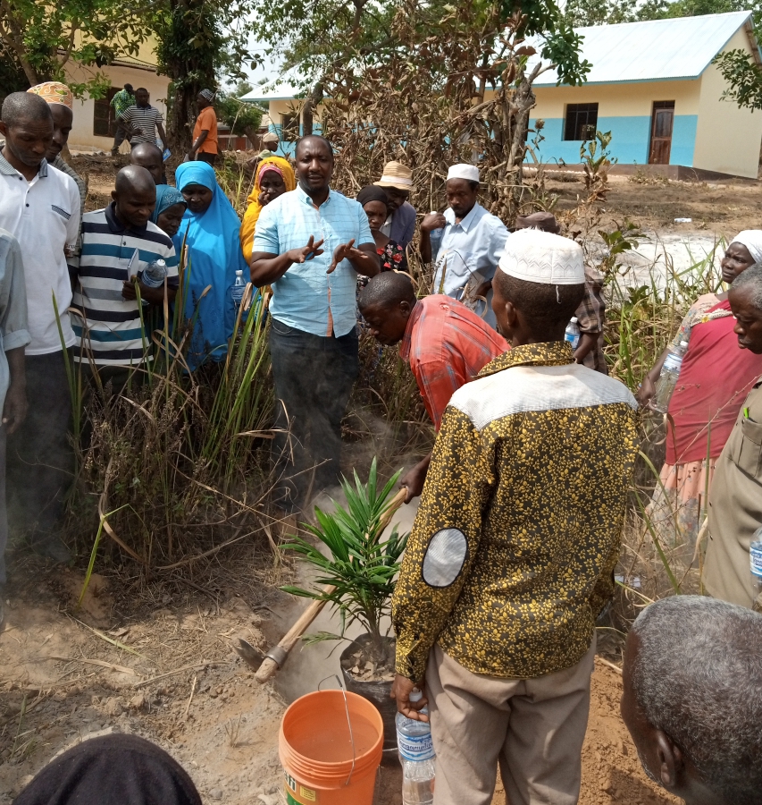 A practical training on how to Plant Oil Palm Seedlings at ongoing training to farmers from various villages of Bitale ward in Kigoma District Council.