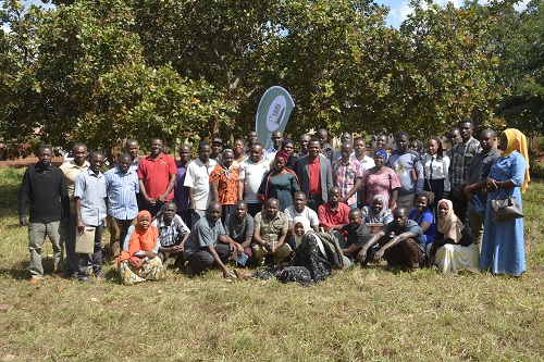 TARI Naliendele Conducts Training to Extension Officers on Proper and Safe Use of Cashew Pesticides in   Liwale and Nachingwea District Councils