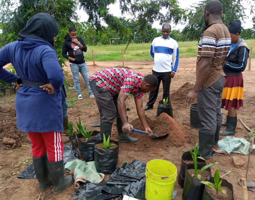 Field Practical Training students from MATI Mubondo Agricultural College receiving training on the preparation of Oil Palm Main Nursery at TARI Kihinga.
