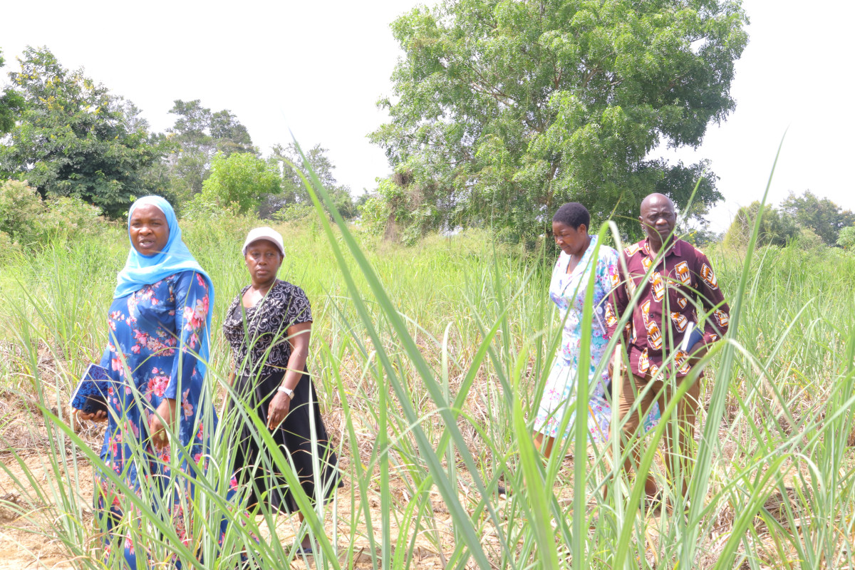 The TARI Kibaha centre manager, Dr. Hilderitha Msita ( in a white cap) inspected on-station trials and demonstration plots