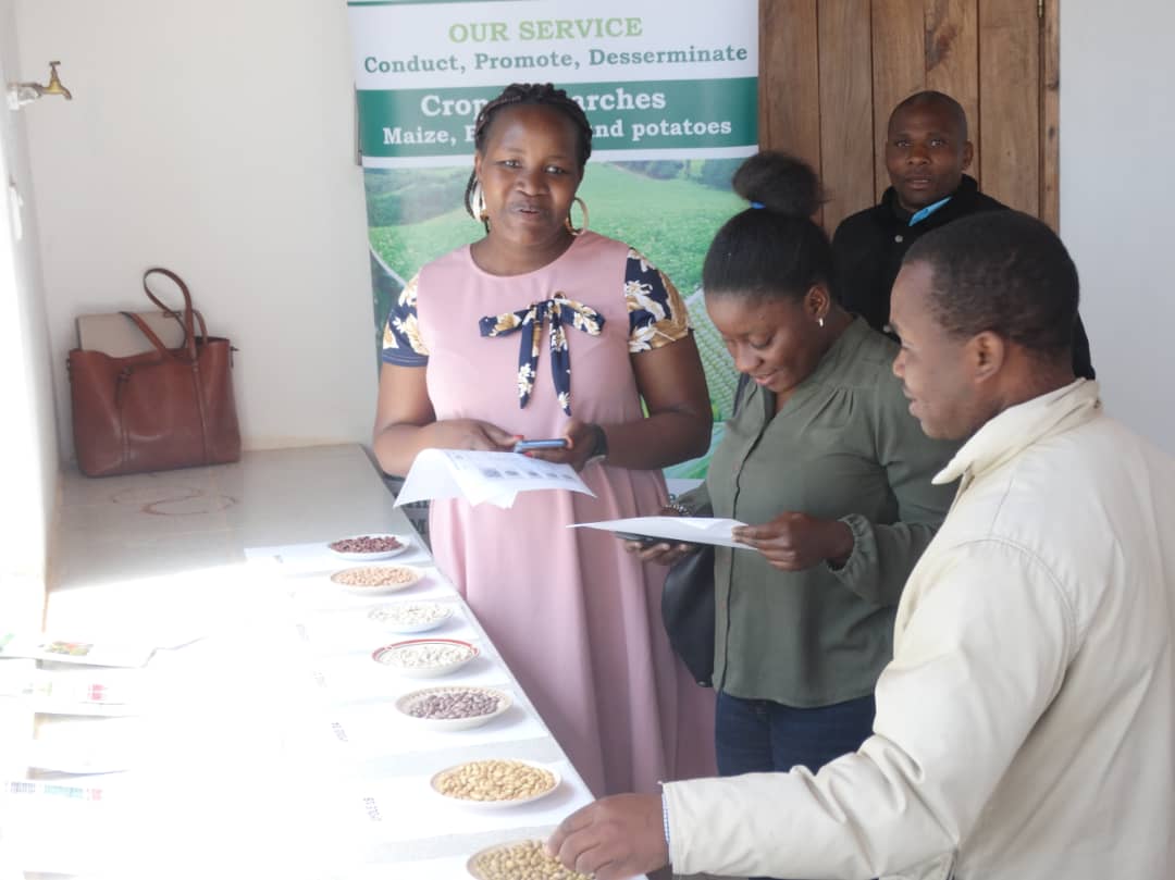 TARI-KIFYULILO and One acre fund company join forces to solve the availability and accessibility of Bean seed to farmers of southern Highlands Zone.