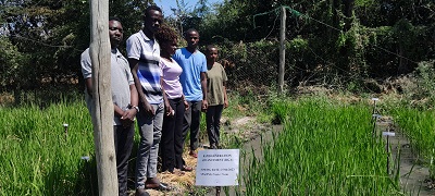 TARI Dakawa Builds Research Capacity to Expectant Agricultural Professionals from the National Sugar Institute