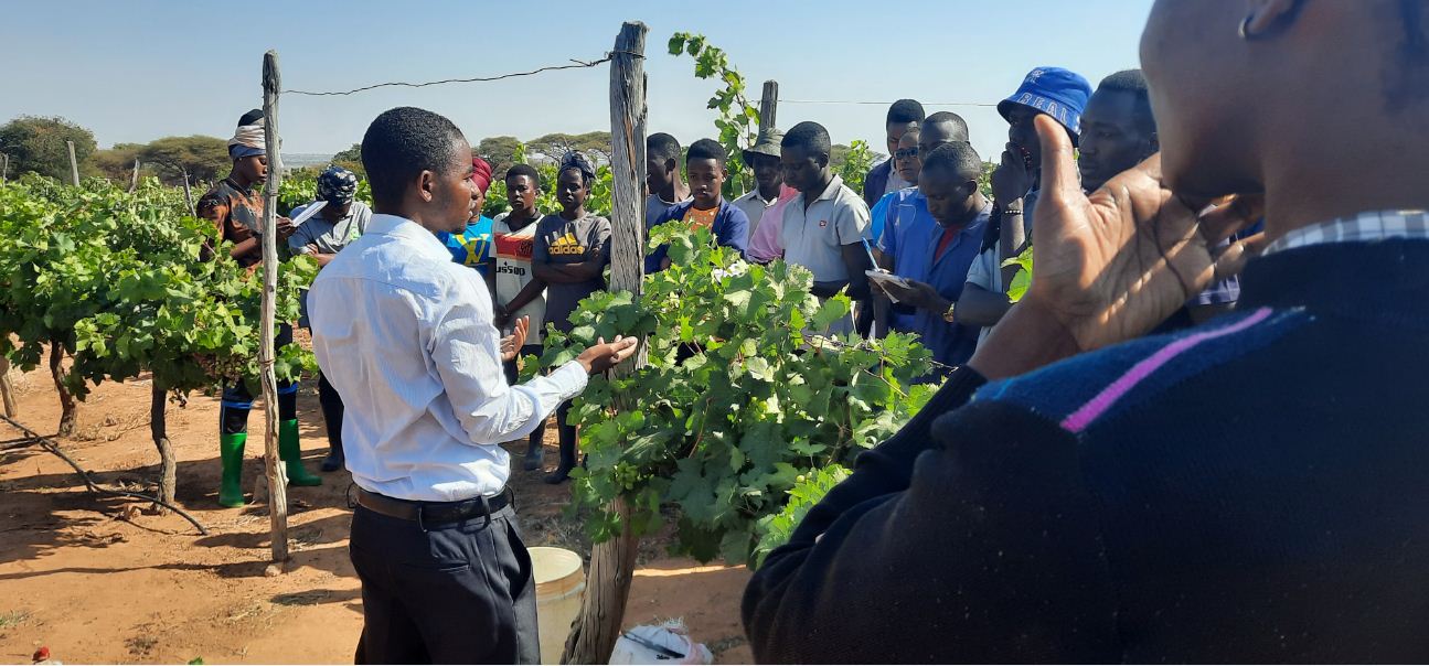 Mr Zamu Mdindikasi   from TARI Makutupora training field students from National Sugar Institute and MATI Ukiliguru on grape protection