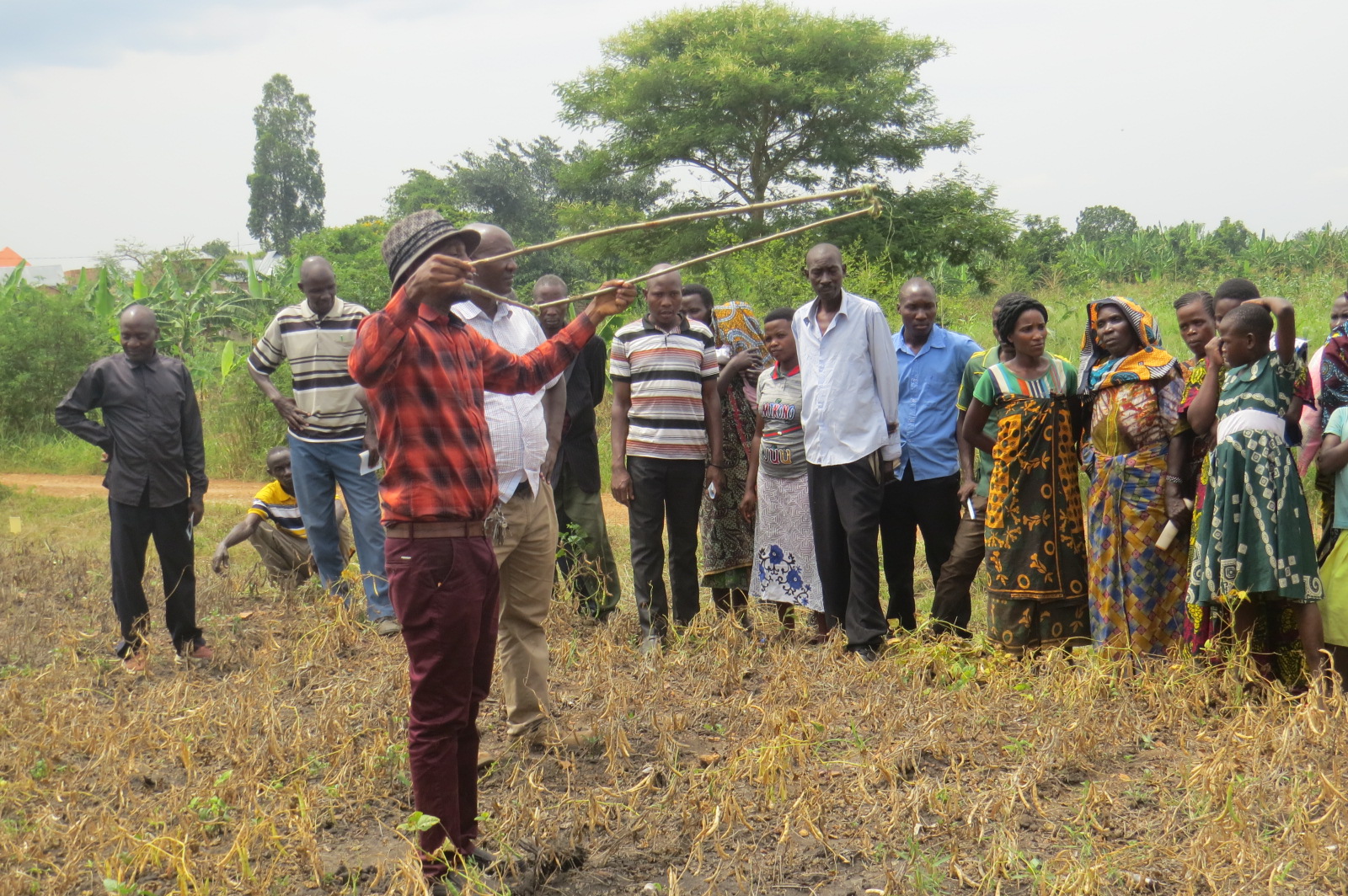Common beans farmer’s field day was conducted by TARI Maruku at Kenyana village, Missenyi district