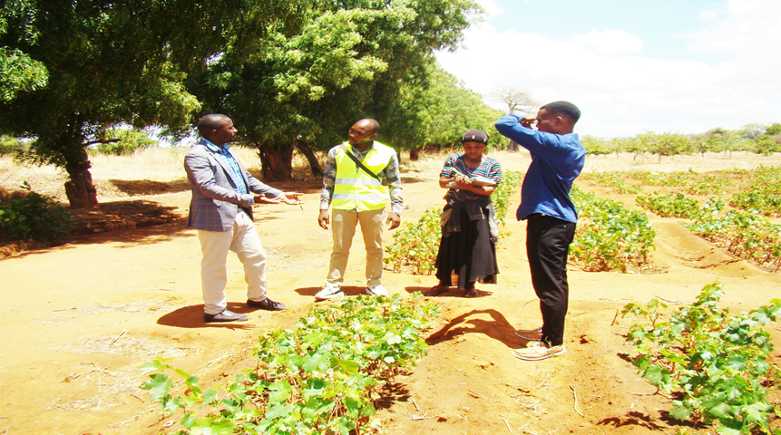 Farmers' representative of VJS farmers group from Mtumba in Dodoma District visited TARI- Makutupora Centre