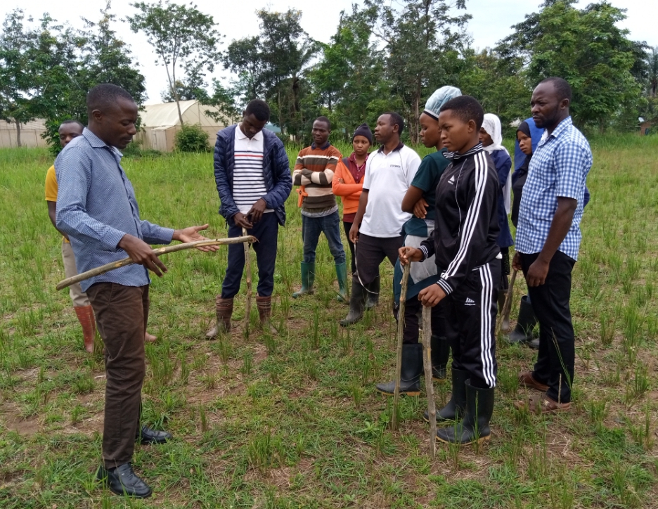 The Coordinator of Technology Transfer and Partnership (CTTP)  Mr. Kuzenza Madili (Left), Training students on Oil palm farm layout.