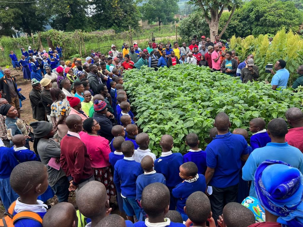 Farmers from Manyara region receiving training on good agronomic practices for vegetable production from TARI Tengeru staff 