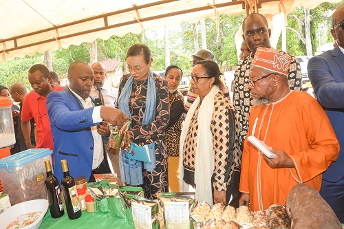 Cashew crop attracted Businessmen from Ngazidja Island (Comoro)  who visited TARI Naliendele