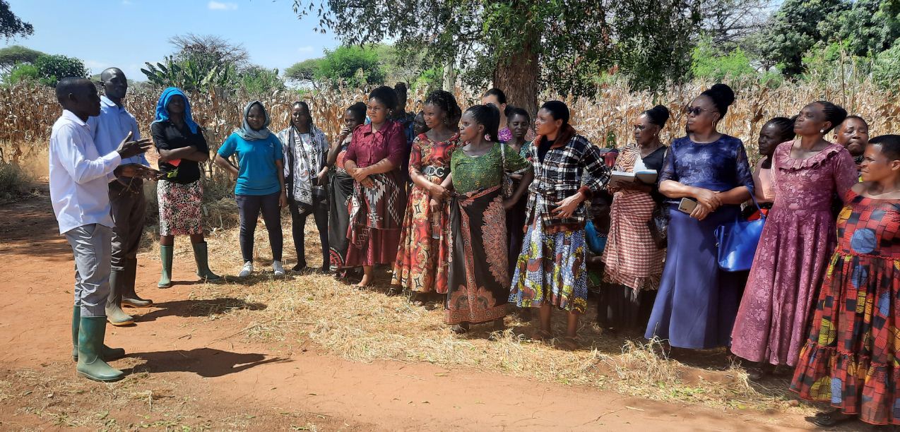 Farmers from ZINDUKU WOMEN GROUP from Mbeya rural District in Mbeya Region visited TARI – Makutupora Centre 
