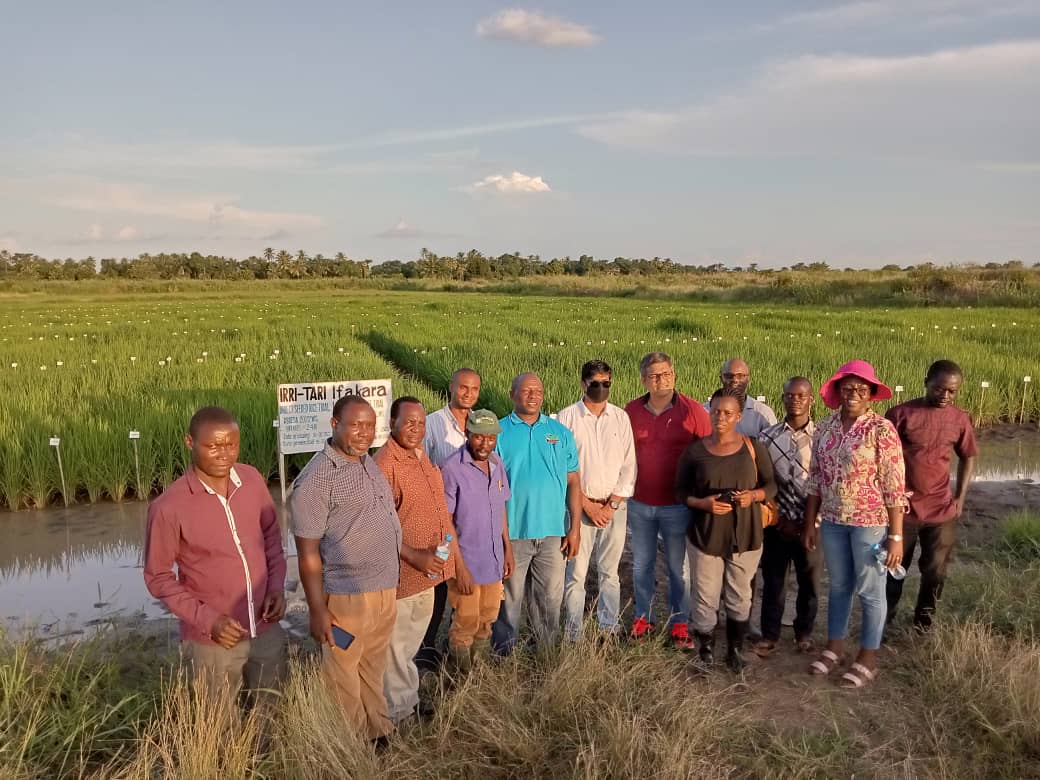 TARI-Ifakara welcomed visitors from International Rice Research Institute (IRRI) 0n 09/04/2022.They learned about various research activities at the Centre and the way forward for future Collaboration between the two institutions (TARI and IRRI)
