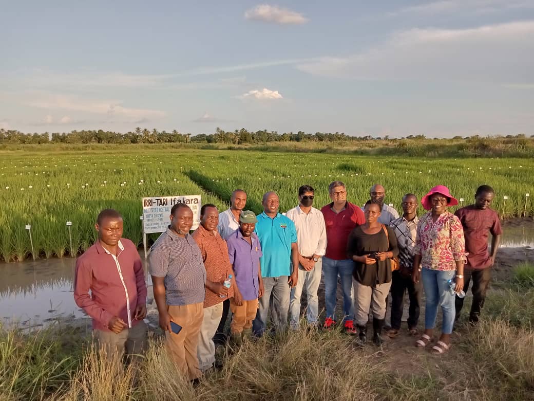 TARI-Ifakara welcomed visitors from International Rice Research Institute (IRRI)  0n 09/04/2022.They learned about various research  activities  at the Centre and the way forward for future Collaboration between the two institutions (TARI and IRRI) 