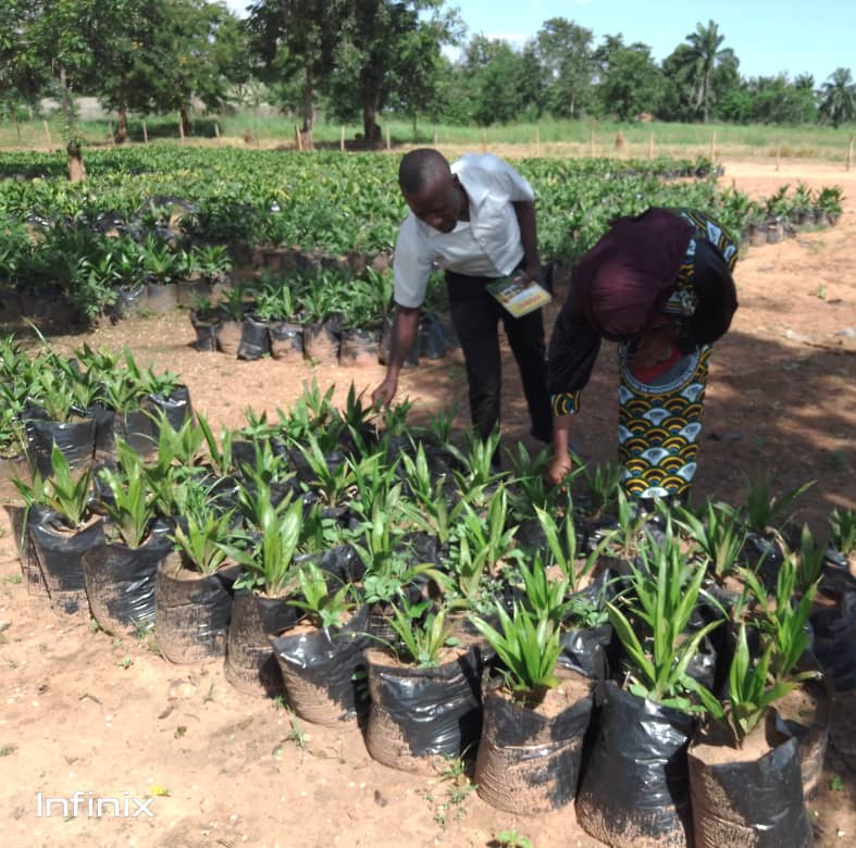 Tabora Regional Commissioner Dr. Batilda Buriani, has visited TARI Kihinga research center to look at the various activities taking place at the center. 