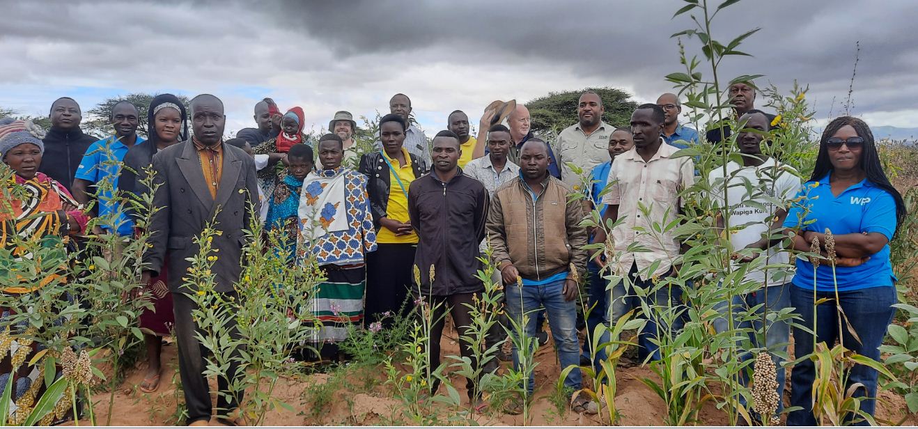 TARI Makutupora in collaboration with ICRISAT, WFP and LEAD FOUNDATION have conducted field visit sites under BIVISION project at Sagara B and Lengaji villages in Kongwa District, Dodoma Region.