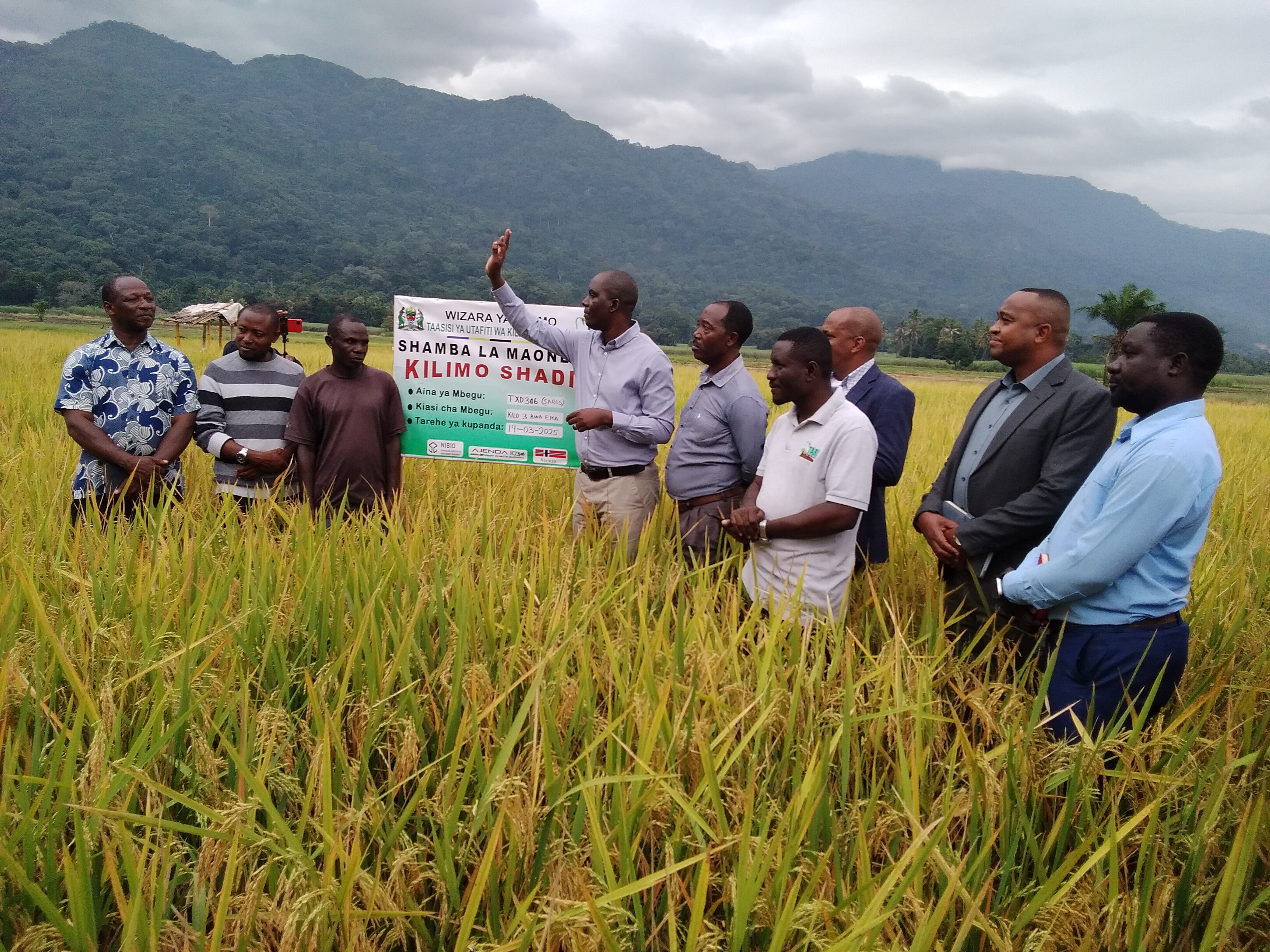 TARI HQ in Collaboration with TARI Uyole, TARI Ifakara and TARI Mikocheni Conducted Farmers Field Day at Kilombero District Council on 02 July 2025