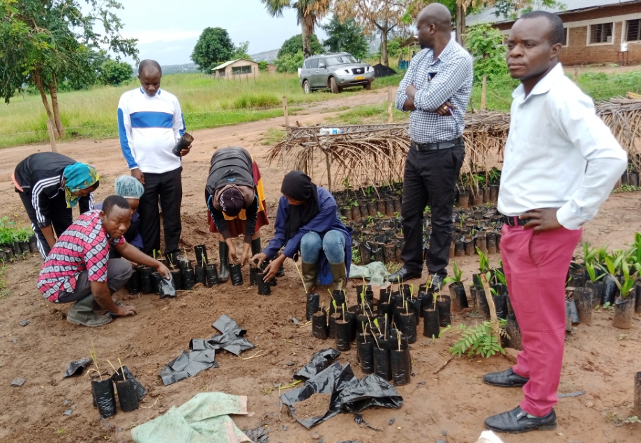 Field Practical Training students from MATI Mubondo Agricultural College receiving training on the preparation of Oil Palm Primary Nursery at TARI Kihinga.
