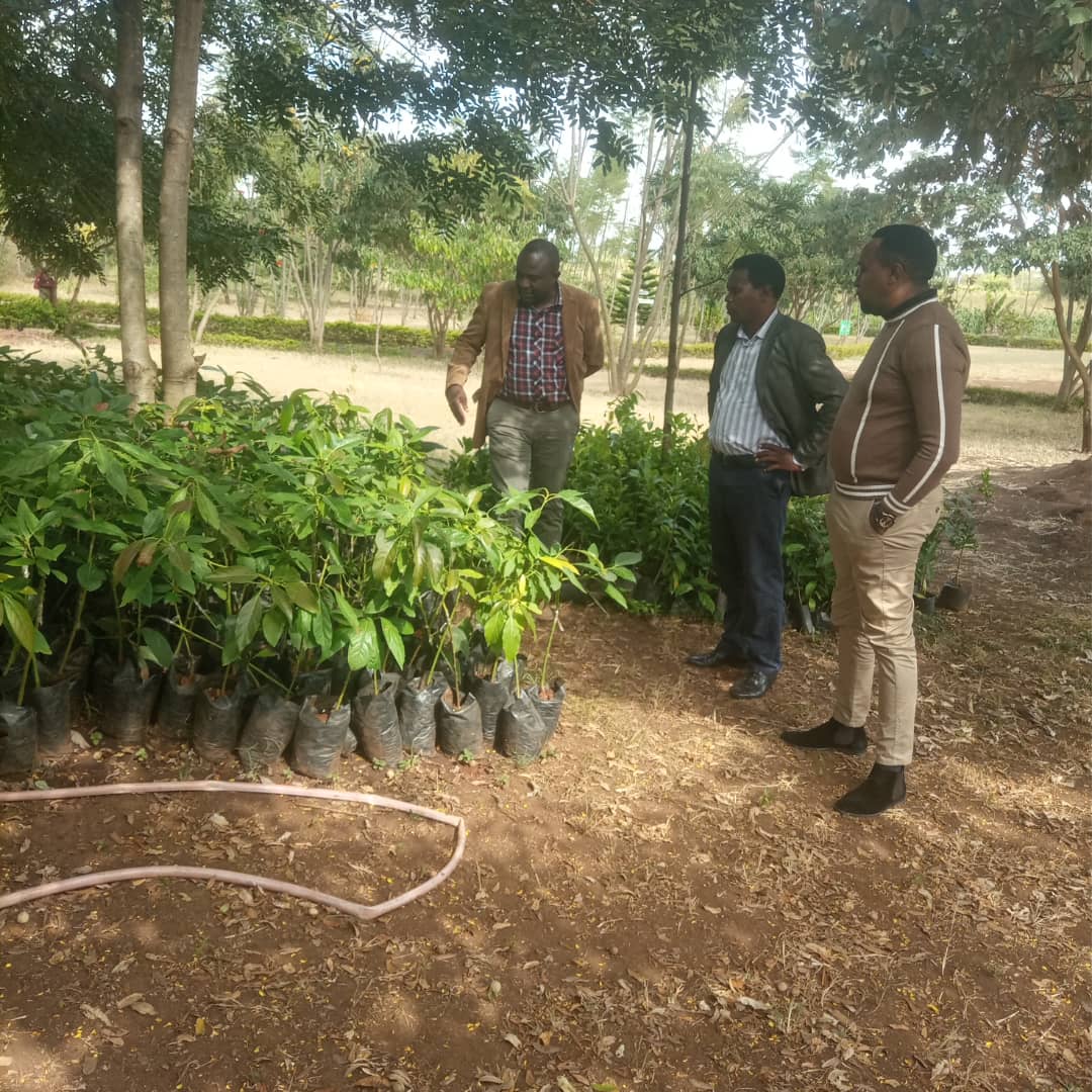 Center manager Dr Mpoki Shimwela (left) handover fruits seedlings at Arusha Girls' High School.
This is an implementation of the partnership between TARI and Hon.Mrisho Gambo(MP) office  in environmental Conservation and diet improvement to students