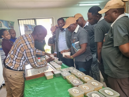 Research Assistant Mr. Methusela Obedy, showcasing some improved cotton varieties to delegates from National Defence College during their visit at TARI Ilonga.