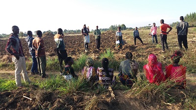 TARI Maruku conducted on-farm training to common bean farmers at Missenyi, Karagwe, and Kyerwa districts in Kagera region