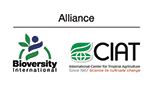 The Alliance of Bioversity International and CIAT