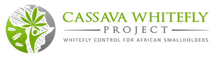 African Cassava Whitefly project