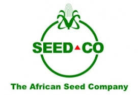 SEED COMPANY 