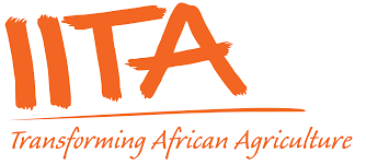 INTERNATIONAL INSTITUTE OF TROPICAL AGRICULTURE (IITA)