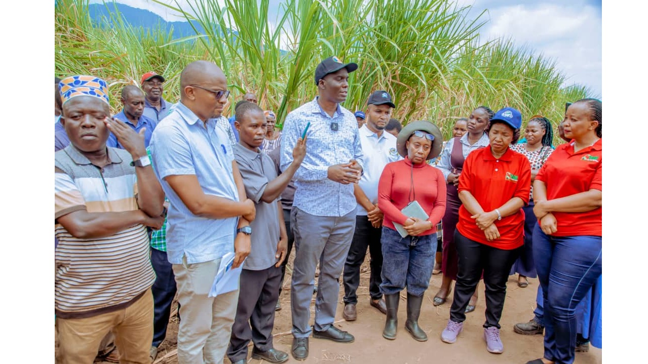 Tari Yatoa Mbegu Bora za Miwa Kwa Wakulima Kilombero.